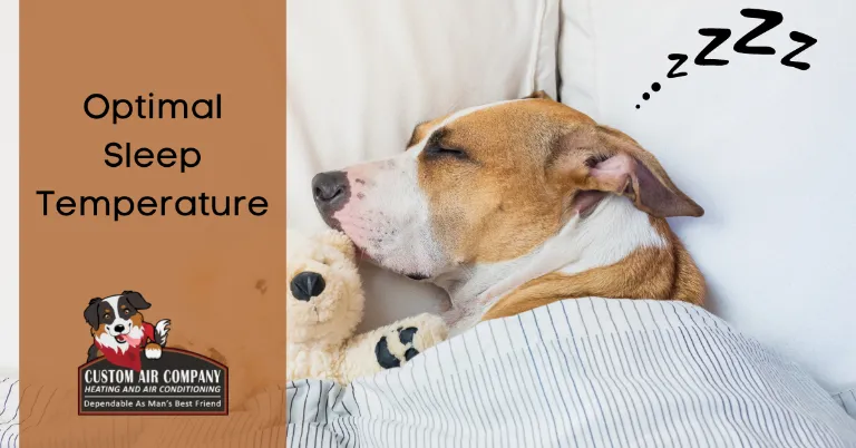 dog sleeping with teddy bear