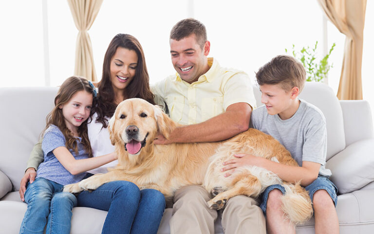 Annual AC Maintenance in Bloomington, IL